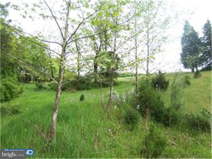 Lot 53 Permanent School Road Erwinna, PA 18920 - Photo 5 of 9 Gallery Image 5
