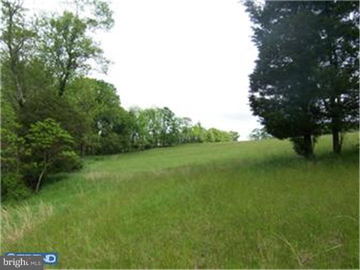 Lot 53 Permanent School Road Erwinna, PA 18920 - Photo 6 of 9 Gallery Image 6