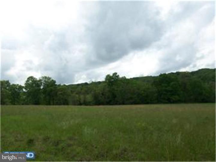Lot 53 Permanent School Road Erwinna, PA 18920 - Photo 7 of 9 Gallery Image 7