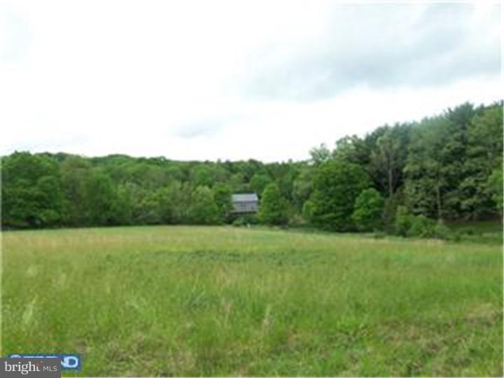 Lot 53 Permanent School Road Erwinna, PA 18920 - Photo 8 of 9 Gallery Image 8