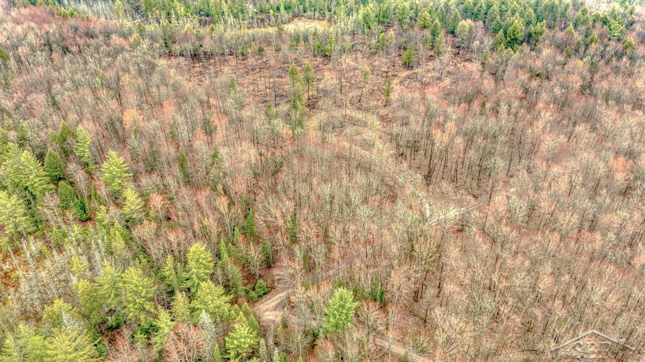 N948 Old Plank Road Wetmore, MI 49895 - Photo 3 of 26