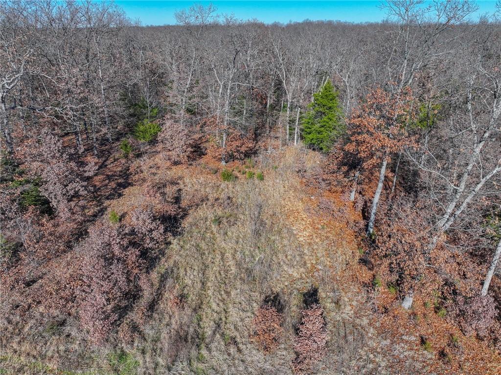 0 Southeast 1151st Road Collins, MO 64738 - Photo 27 of 43 Gallery Image 27