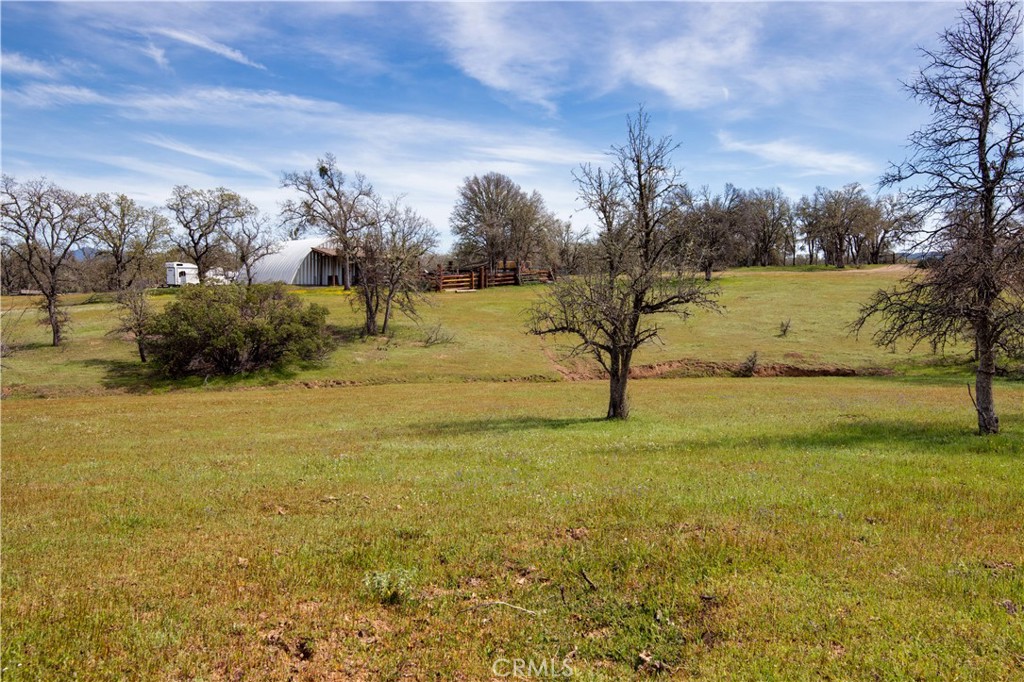 340 Fritch Road Lakeport, CA 95453 - Photo 51 of 65 a view of a yard with an outdoor space