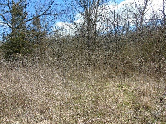 1 Puckett Road Lawrenceburg, KY 40342 - Photo 3 of 4 Photo 3