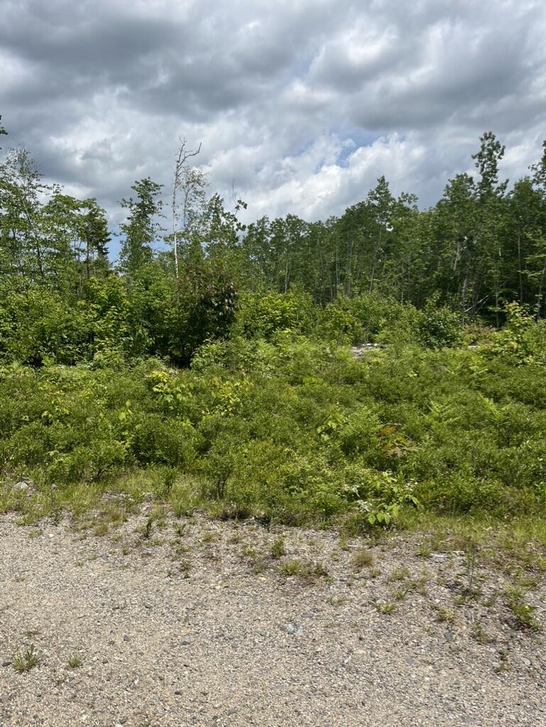 M4-l20 Hardwood Ridge Road Deblois, ME 04622 - Photo 7 of 15 621551C8-FE93-4561-AA5F-8D725E646E04_1_1