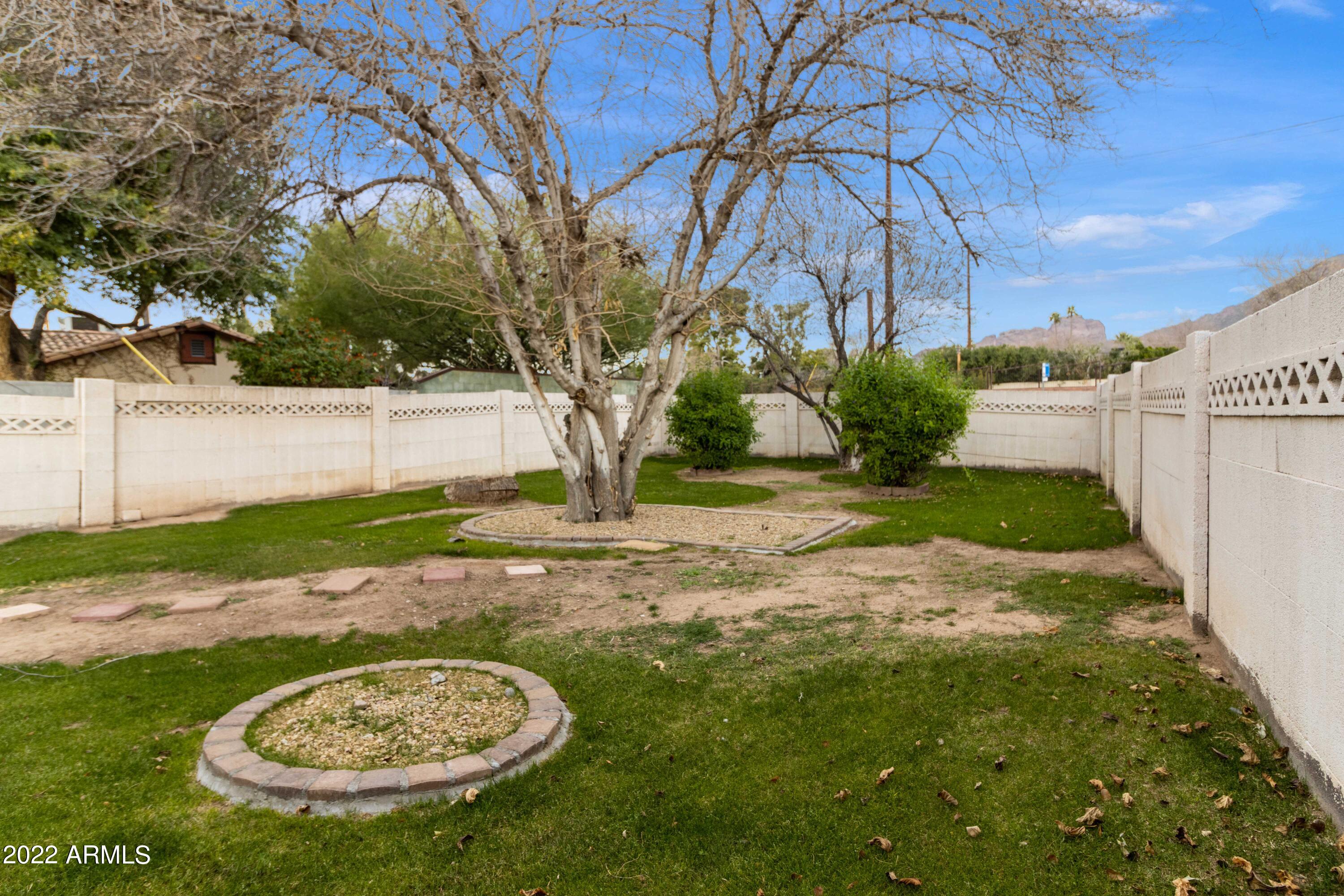 3660 North 52nd Street Phoenix, AZ 85018 - Photo 15 of 37 Yard 2