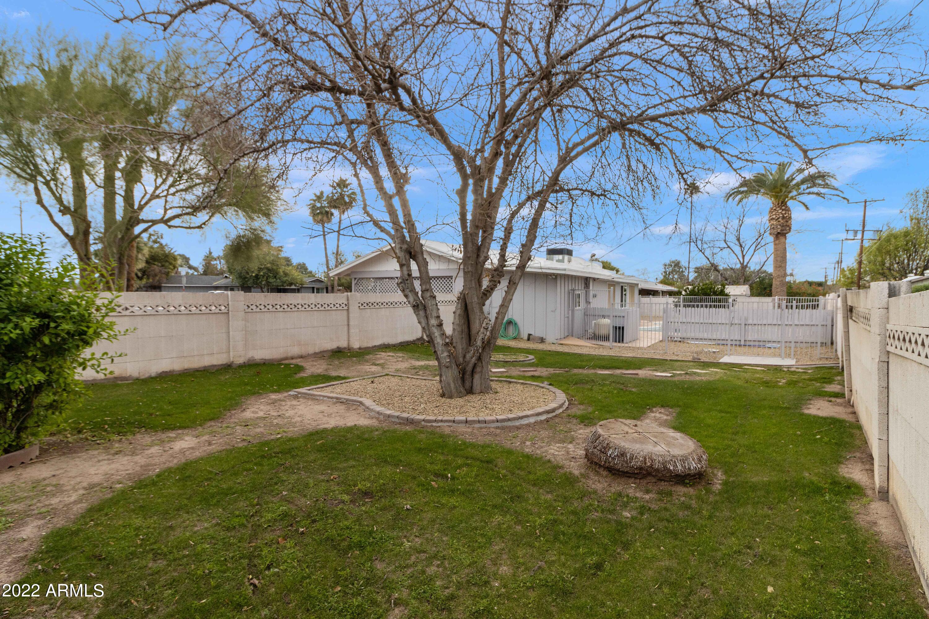 3660 North 52nd Street Phoenix, AZ 85018 - Photo 16 of 37 Yard 3