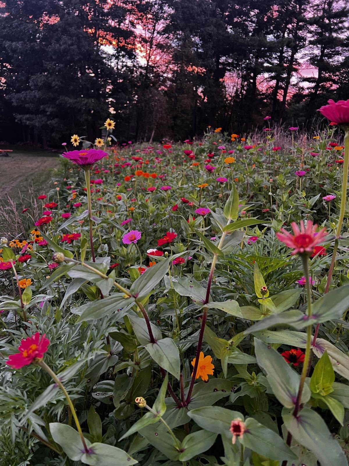 490 Page Road Bow, NH 03304 - Photo 39 of 45