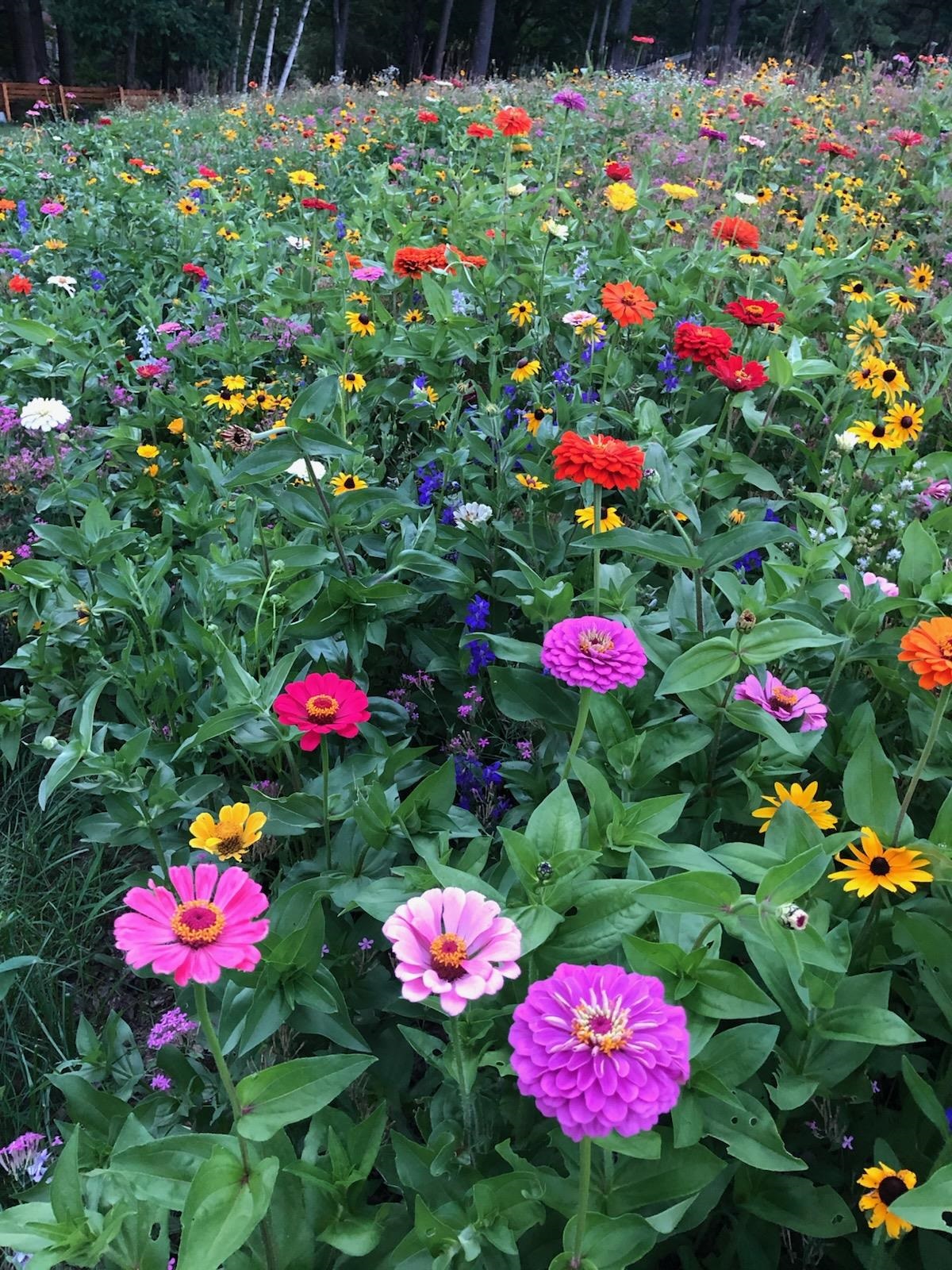 490 Page Road Bow, NH 03304 - Photo 40 of 45