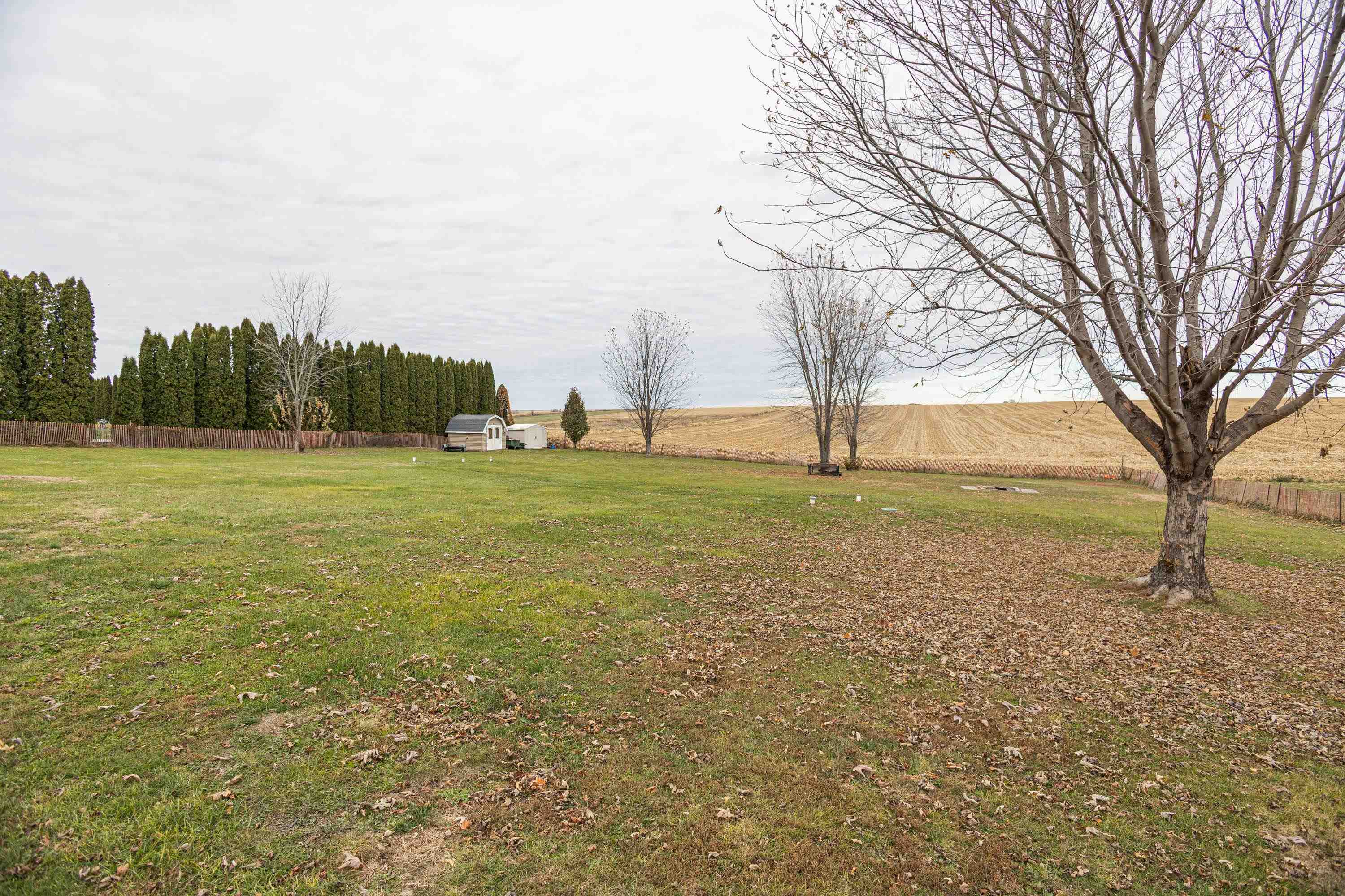 386 St Rose Road Cuba City, WI 53807 - Photo 43 of 53