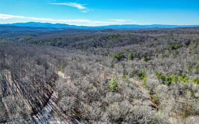 24 Turkey Scratch Road Blairsville, GA 30512 - Photo 4 of 13 Additional View