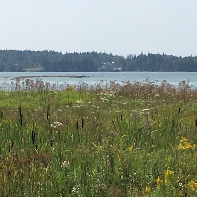 274 Mooseneck Road Addison, ME 04606 - Photo 11 of 26 Photo