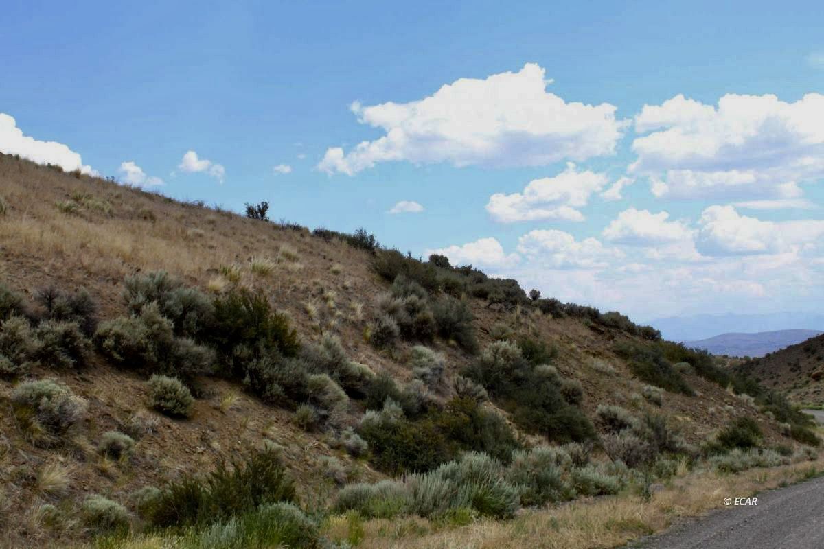 5th Street Elko, NV 89801 - Photo 5 of 20