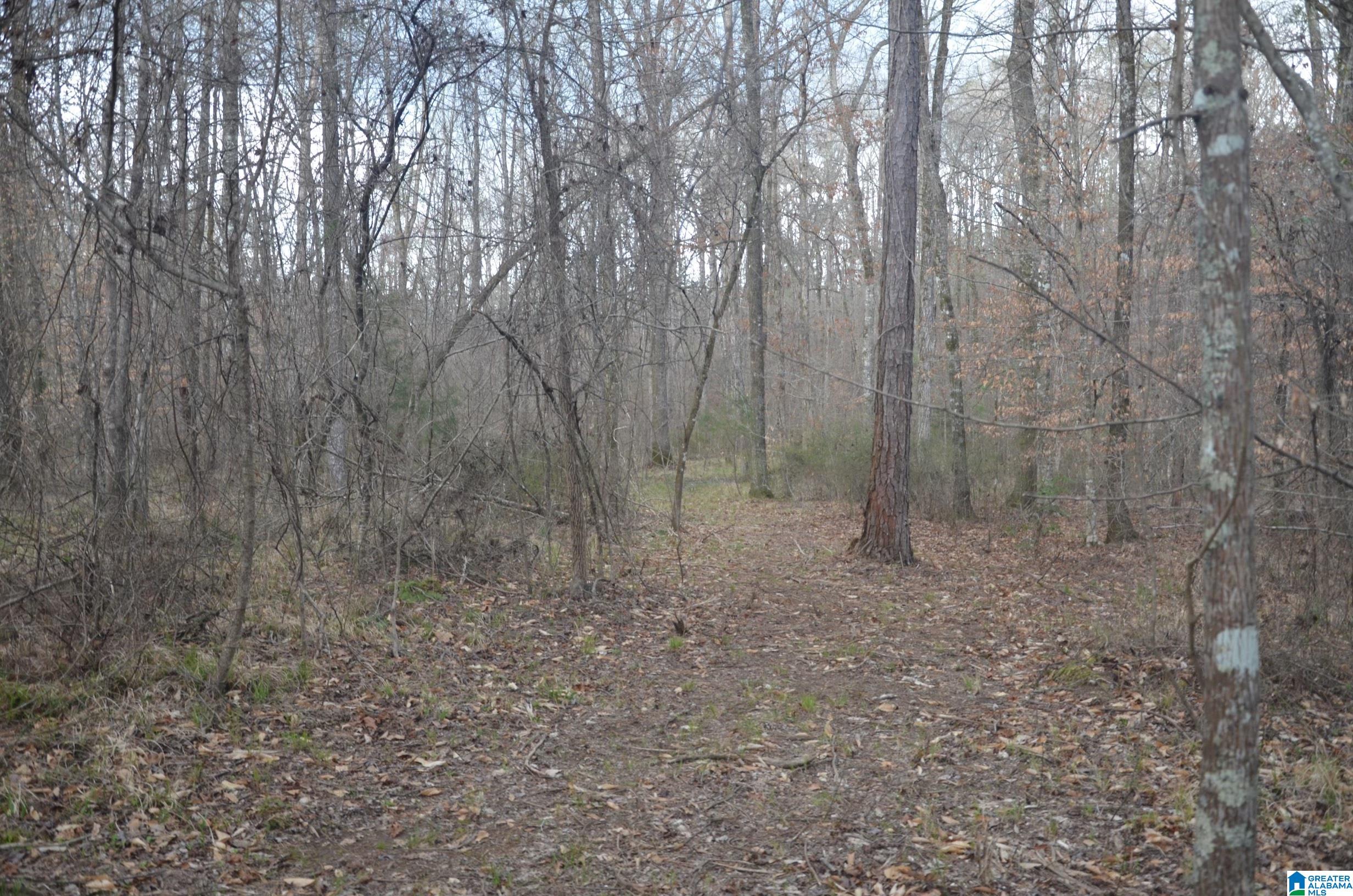 0 Settlers Ridge Alabaster, AL 35007 - Photo 19 of 19