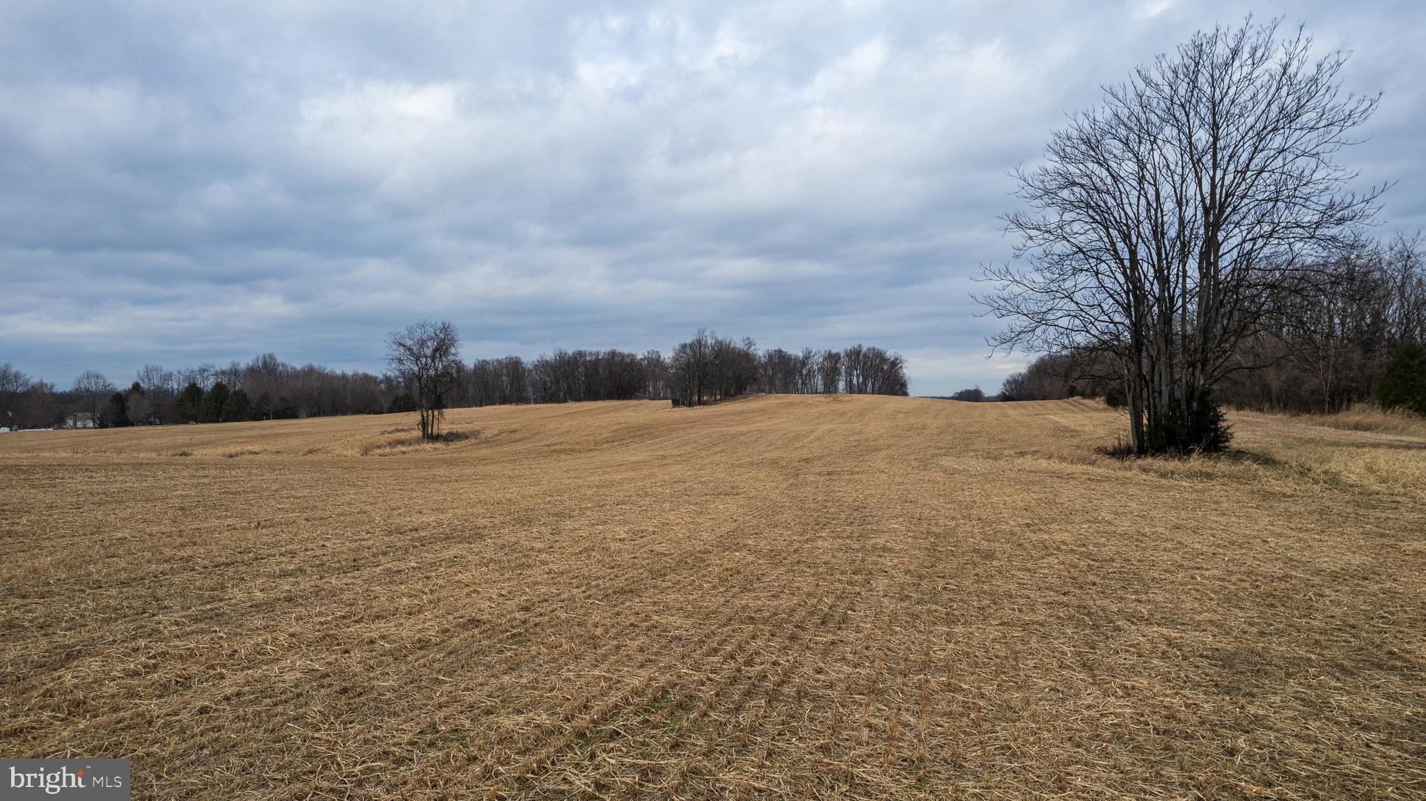 56.37 Swan Pond Road Martinsburg, WV 25404 - Photo 6 of 16 a view of mountain with outdoor space
