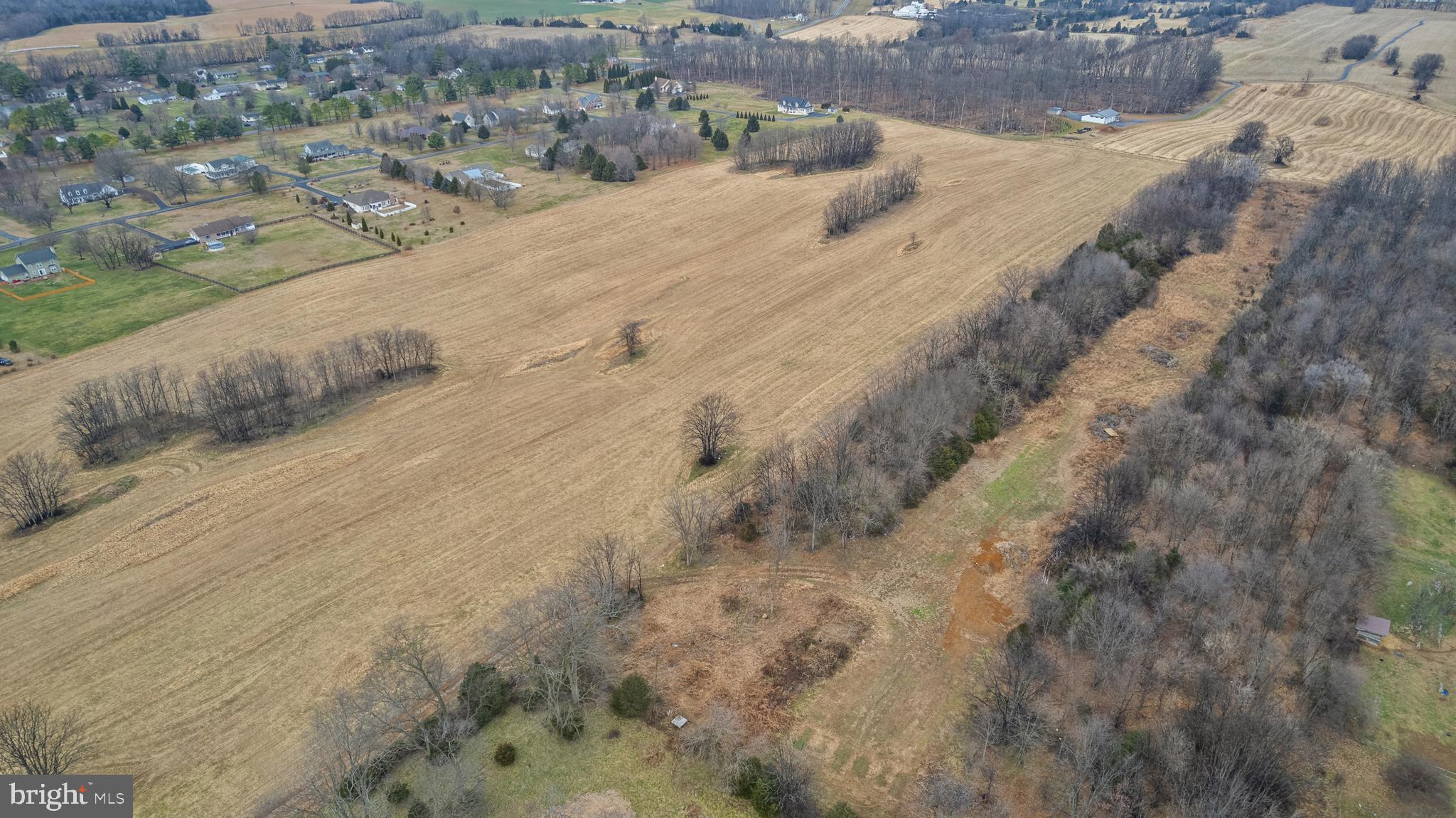 56.37 Swan Pond Road Martinsburg, WV 25404 - Photo 7 of 16 a view of a dry yard with trees
