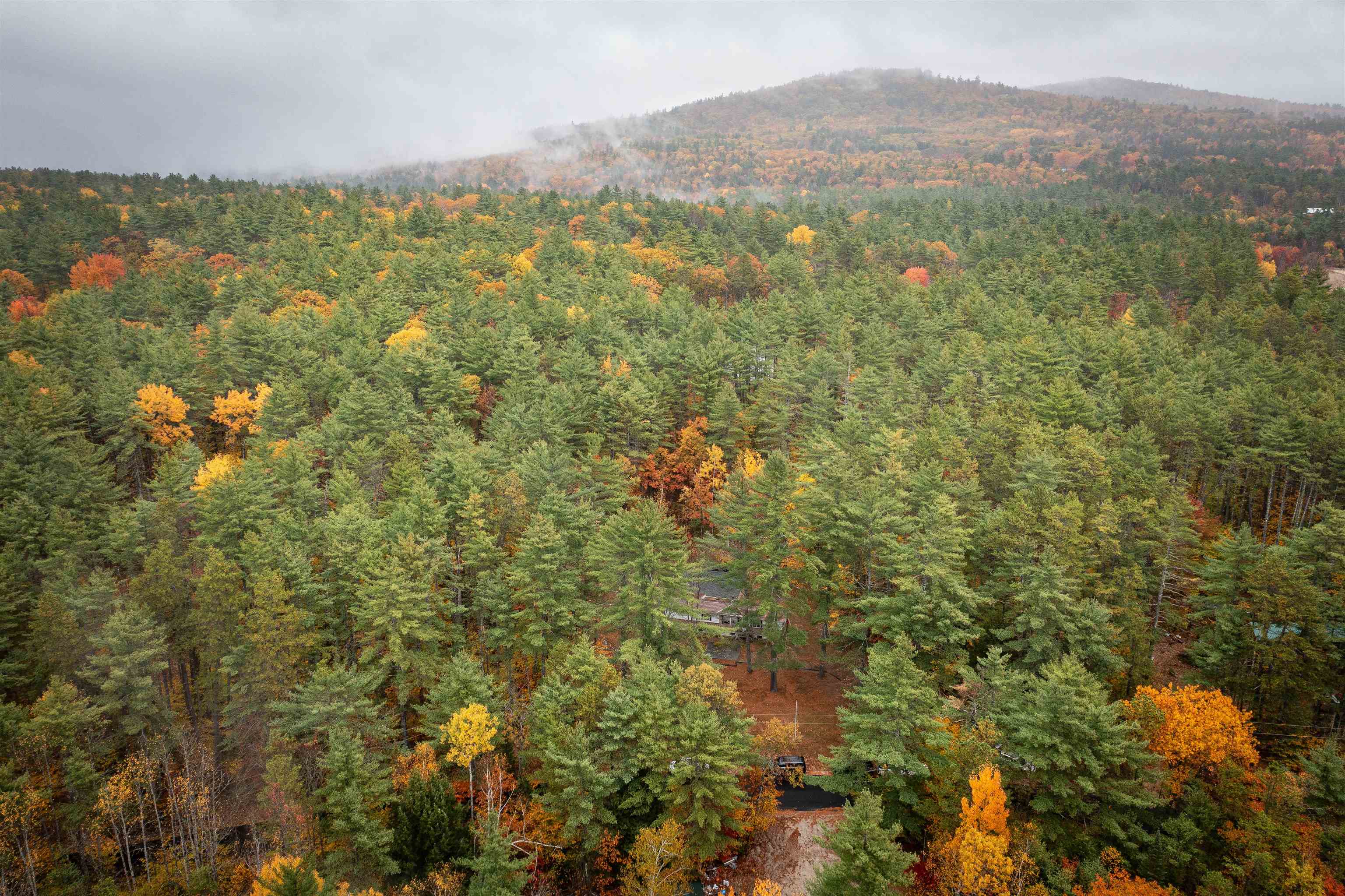 126 Forest Pines Road Madison, NH 03849 - Photo 11 of 36