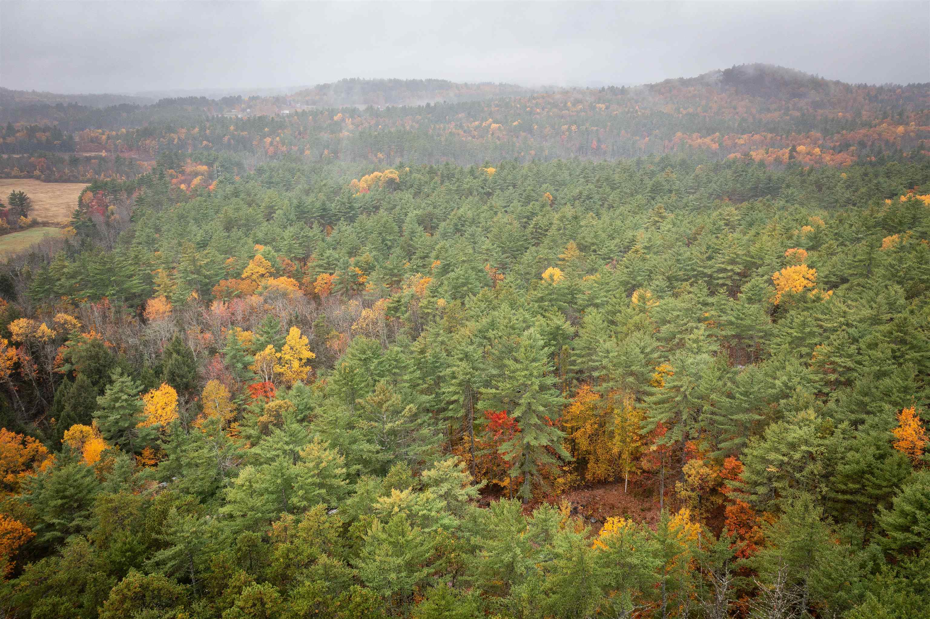 126 Forest Pines Road Madison, NH 03849 - Photo 5 of 36