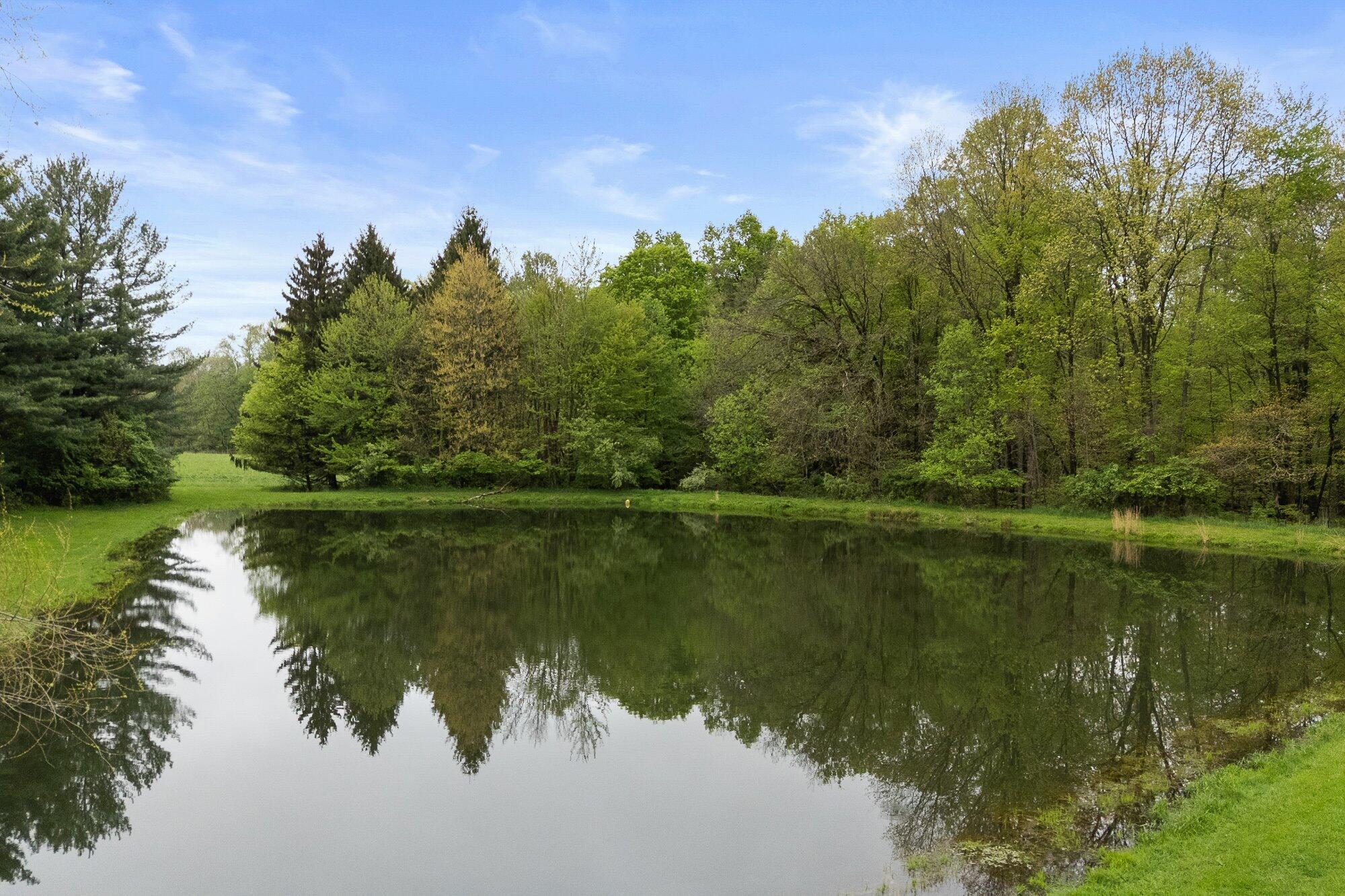 1366 Orweiler Road Mansfield, OH 44903 - Photo 63 of 66 63-ext-pond