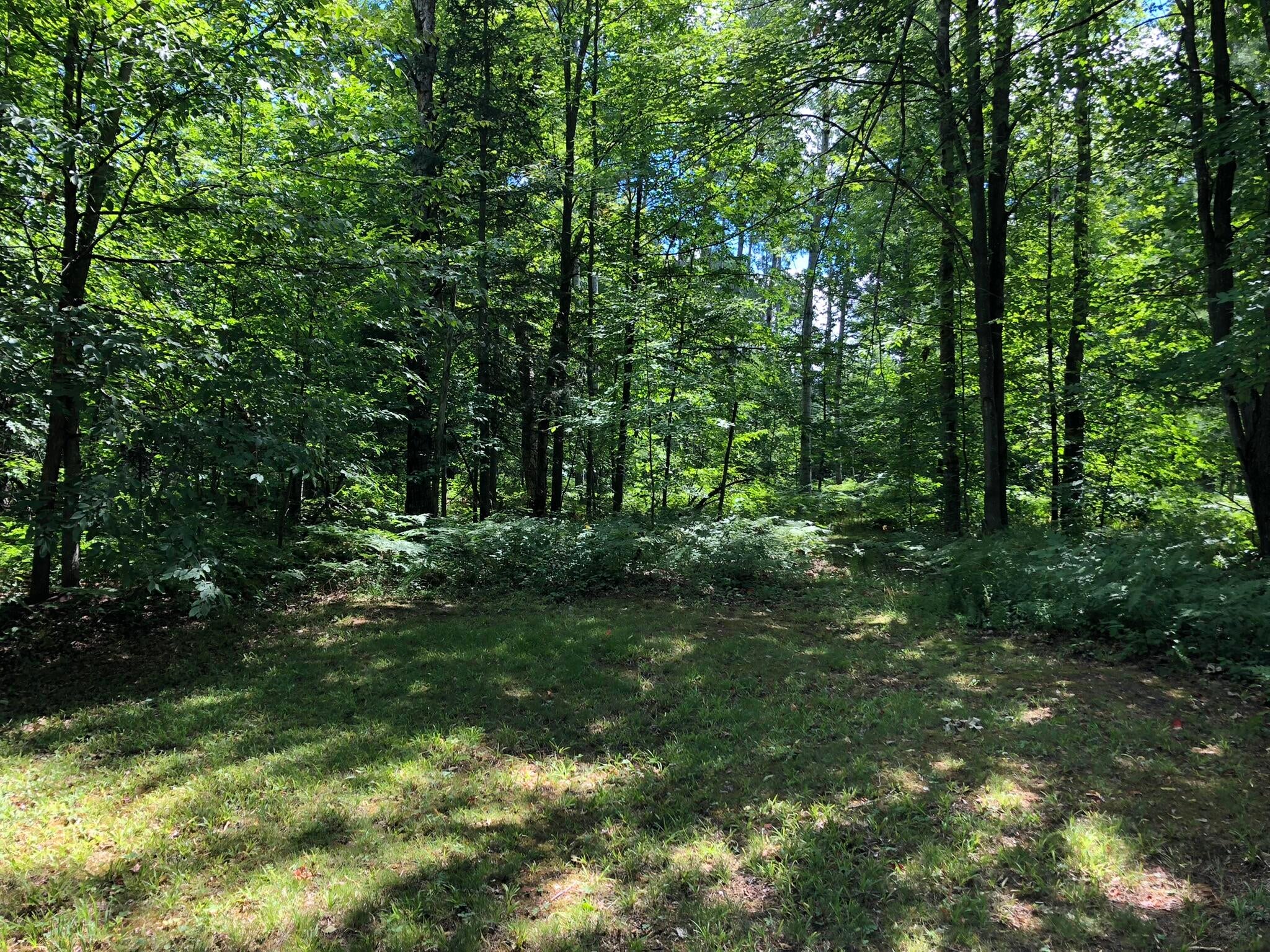 5107 Old Vanderbilt Road Vanderbilt, MI 49795 - Photo 3 of 17 Gallery Image 3