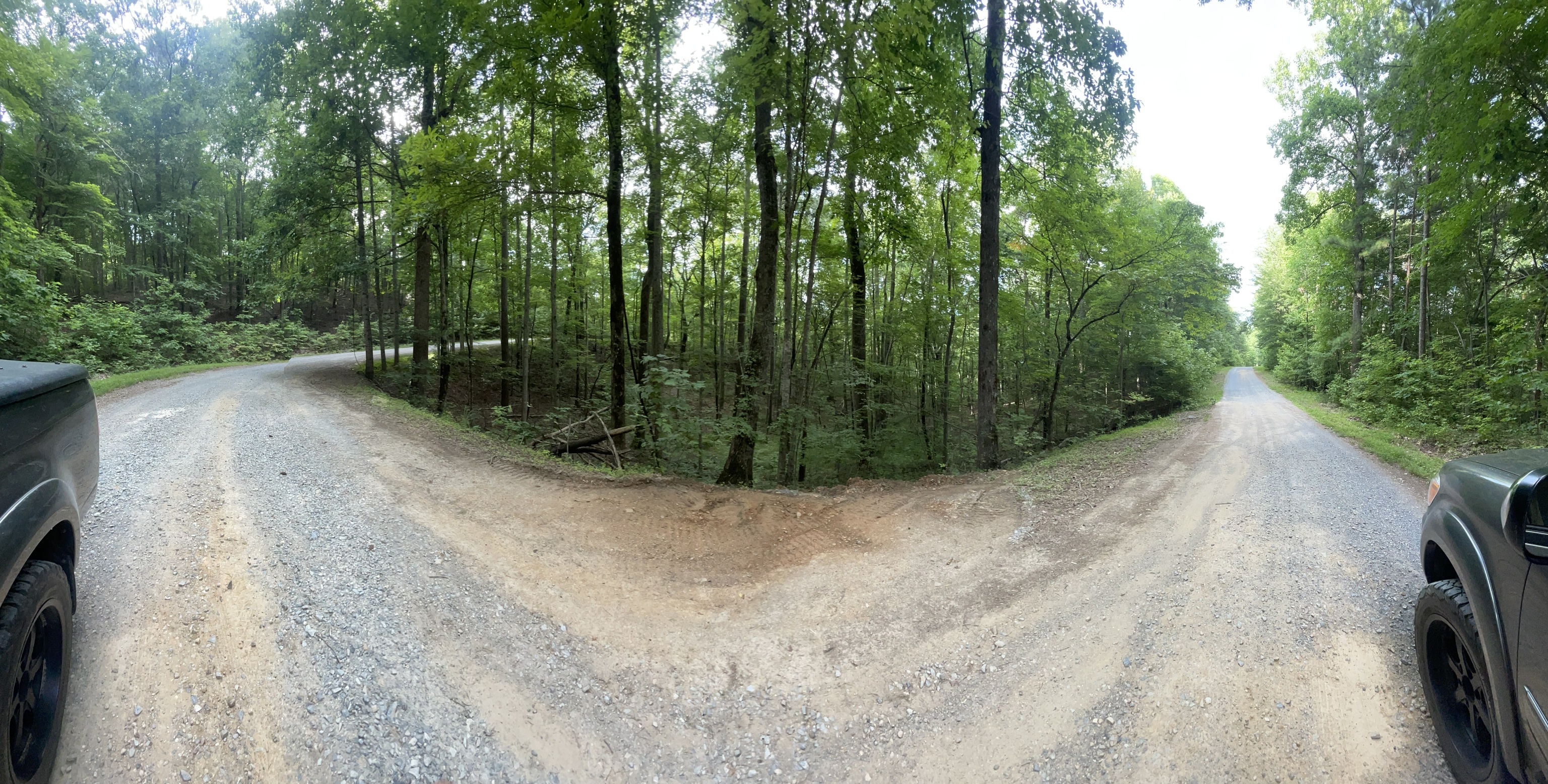 1071 Mayfield Lane Northeast Ranger, GA 30734 - Photo 5 of 12 a view of a road with trees in the background