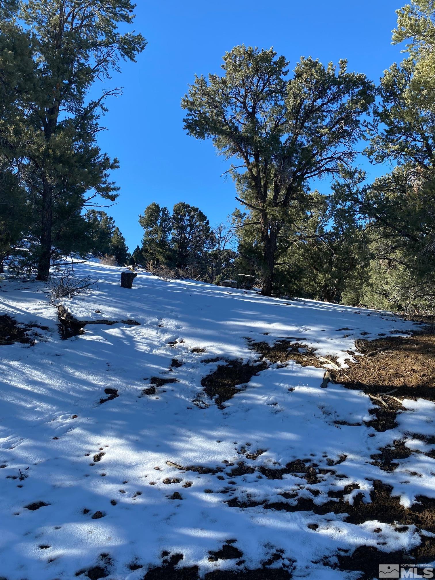 1640 Nugget Road, Unit 29 Reno, NV 89521 - Photo 4 of 4 Photo 4