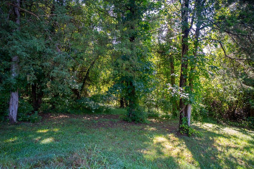 0 Kite Hollow Road Stanley, VA 22851 - Photo 8 of 16 Gallery Image 8