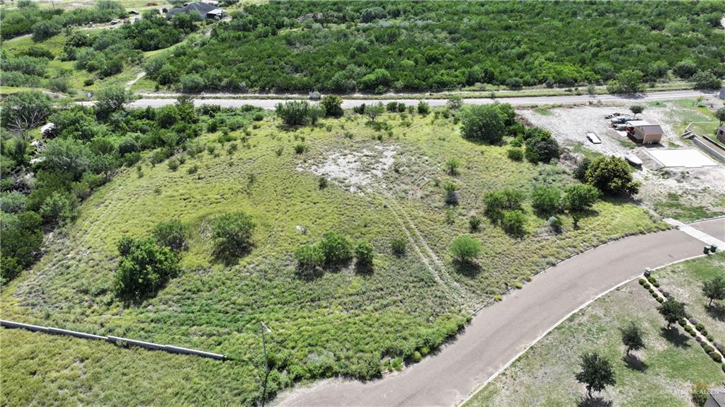 109 Sunset Lane Rio Grande City, TX 78582 - Photo 6 of 6 a view of a green yard with large trees