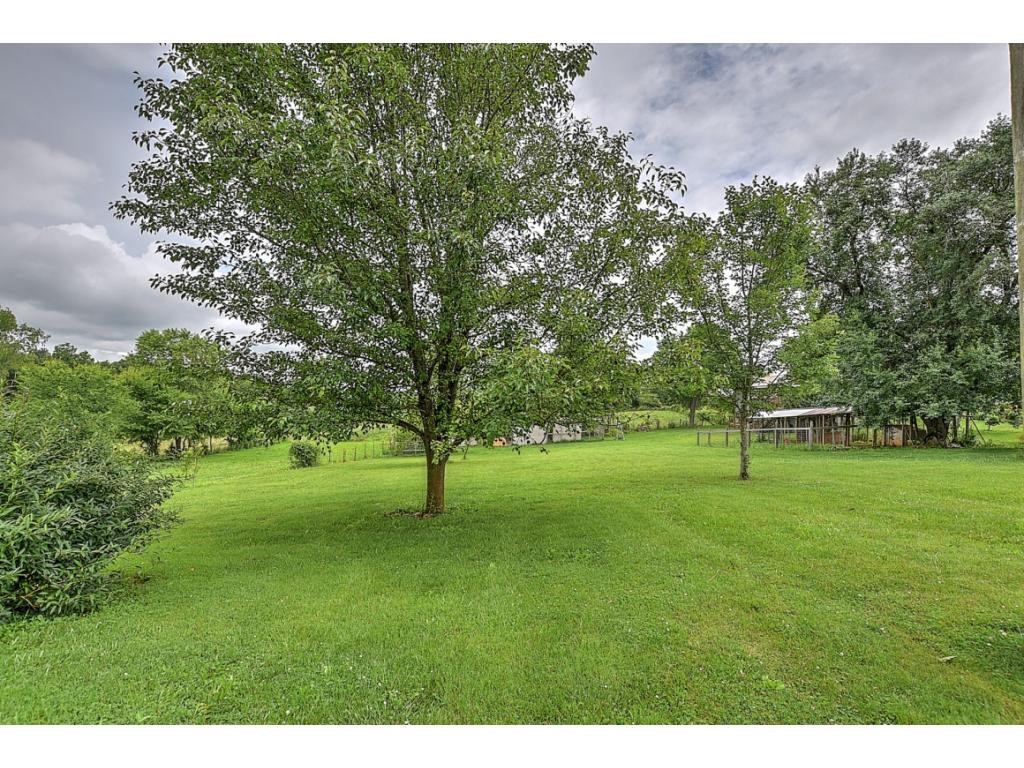253 Shanks Road Telford, TN 37690 - Photo 5 of 28 Photo 5