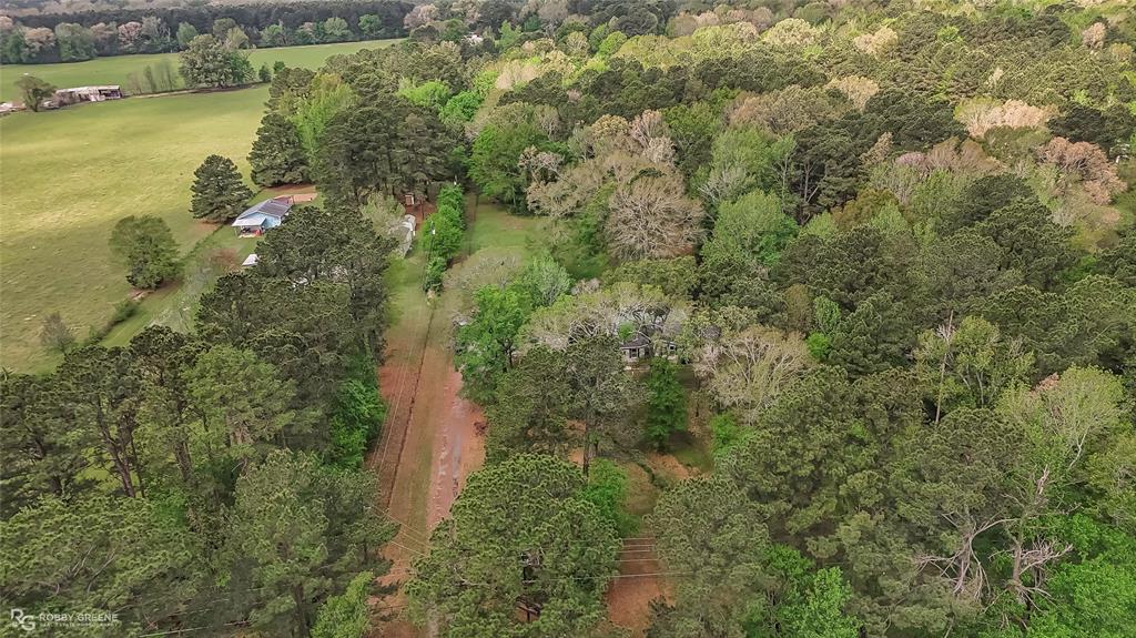 12236 Greenwood Springridge Road Keithville, LA 71047 - Photo 31 of 34