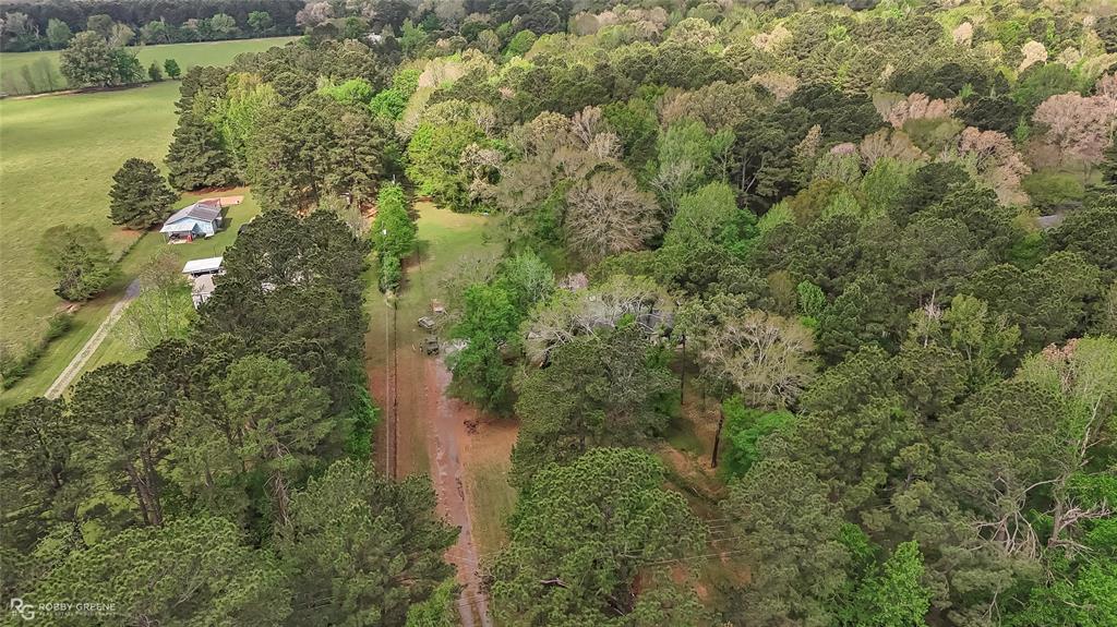 12236 Greenwood Springridge Road Keithville, LA 71047 - Photo 32 of 34