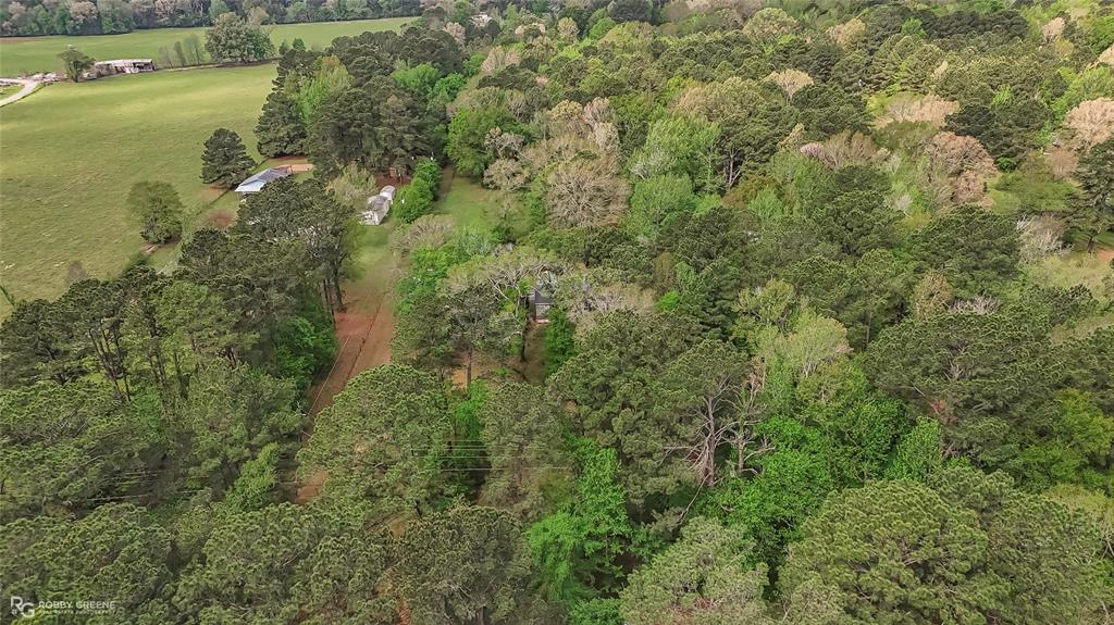 12236 Greenwood Springridge Road Keithville, LA 71047 - Photo 34 of 34