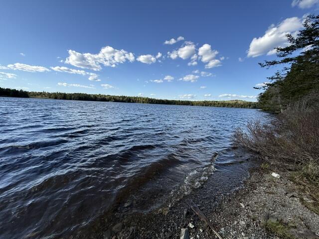 Lot 13 Pidgeon Point Road Whiting, ME 04691 - Photo 25 of 25 IMG_9935