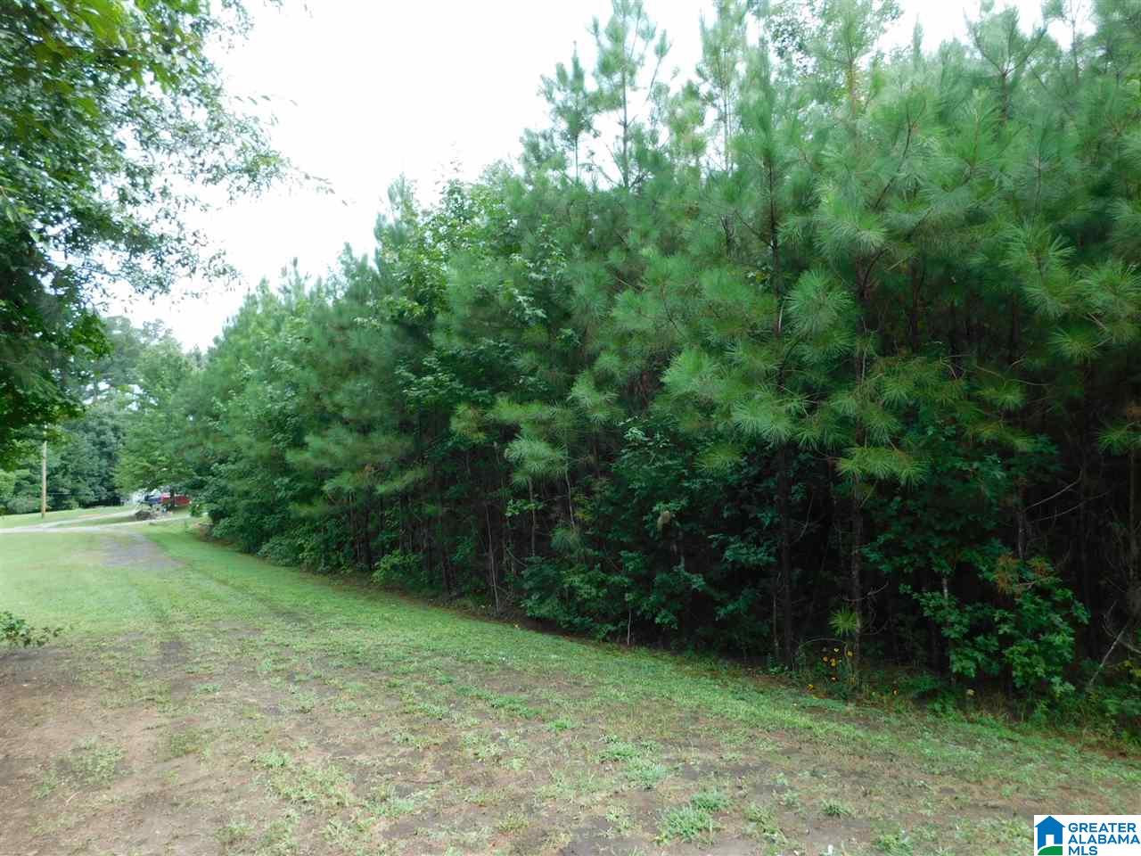 133 County Road, Unit 2 & 3 Empire, AL 35063 - Photo 14 of 15