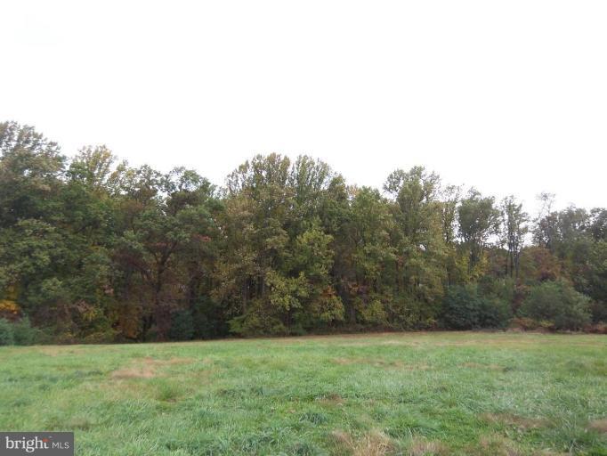4804 Carroll Manor Road Baldwin, MD 21013 - Photo 1 of 4 Level private setting with wooded back drop