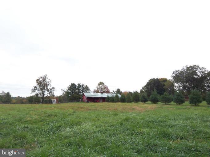 4804 Carroll Manor Road Baldwin, MD 21013 - Photo 3 of 4 Lots of open space! Level lot