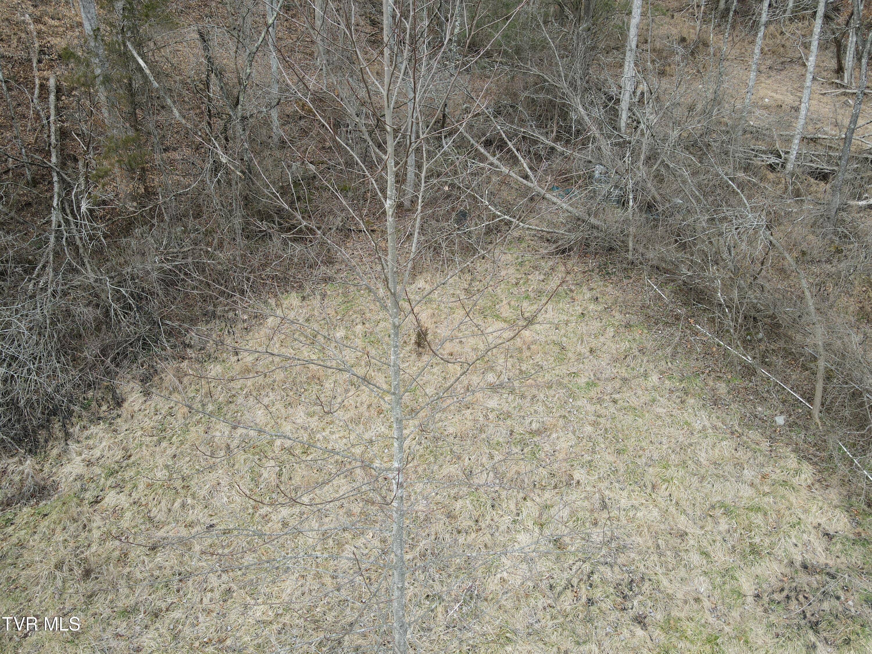 324 Ocoonita Road Jonesville, VA 24263 - Photo 39 of 41 DJI_0376