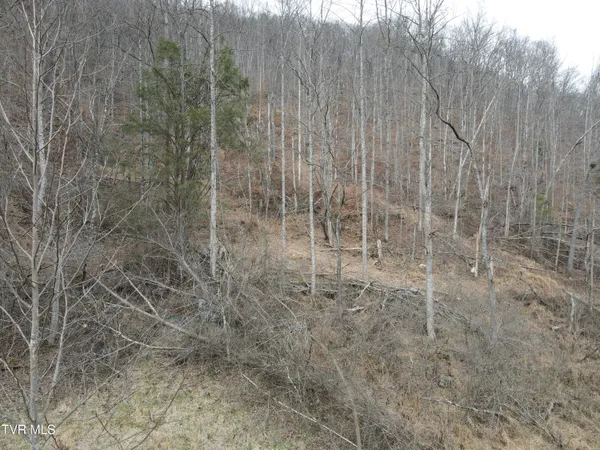 $89,000 | 324 Ocoonita Road, Jonesville, VA 24263