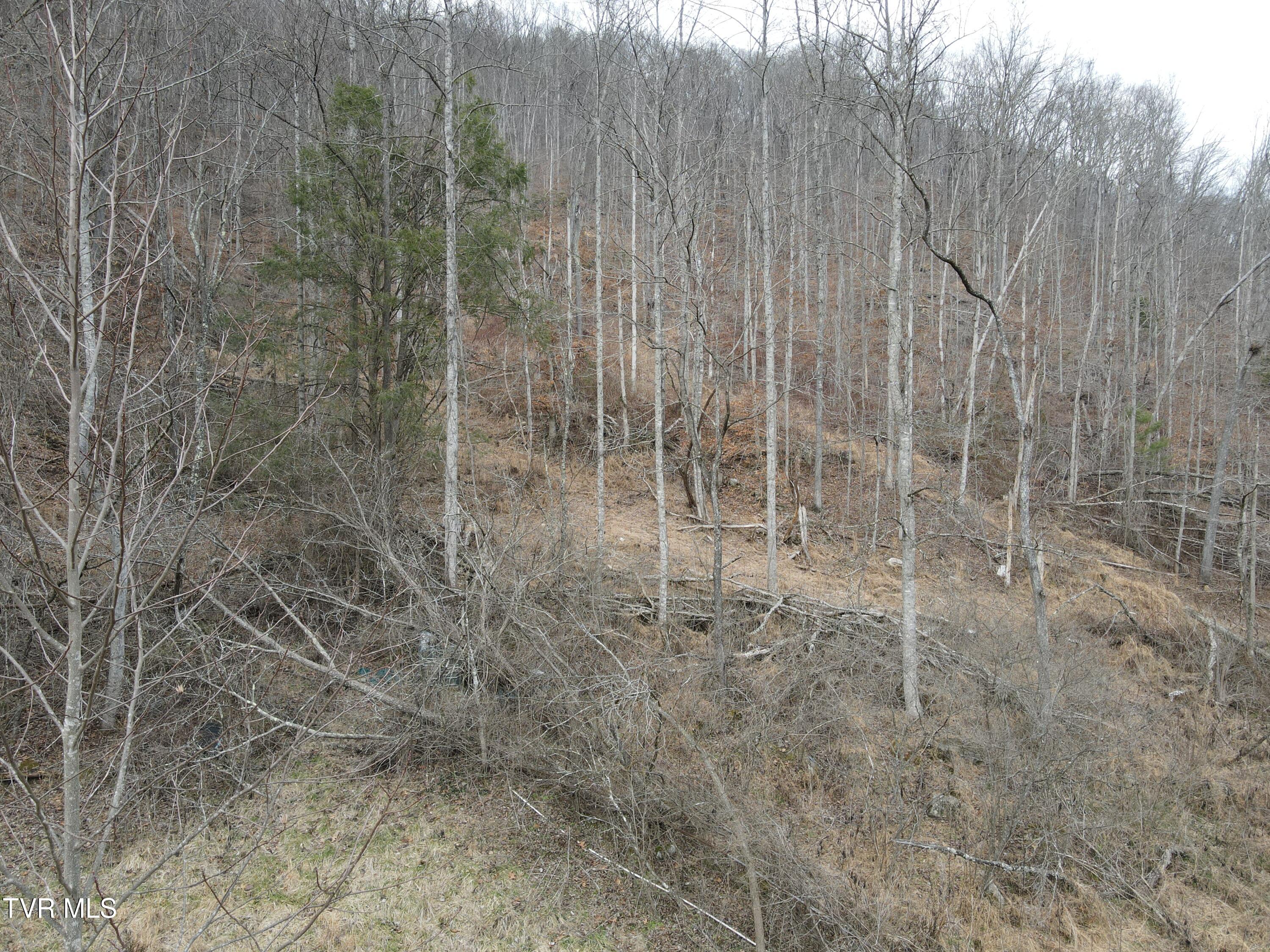 324 Ocoonita Road Jonesville, VA 24263 - Photo 40 of 41 DJI_0377