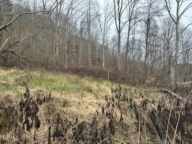 $105,000 | 324 Ocoonita Road, Jonesville, VA 24263