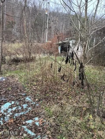 $105,000 | 324 Ocoonita Road, Jonesville, VA 24263