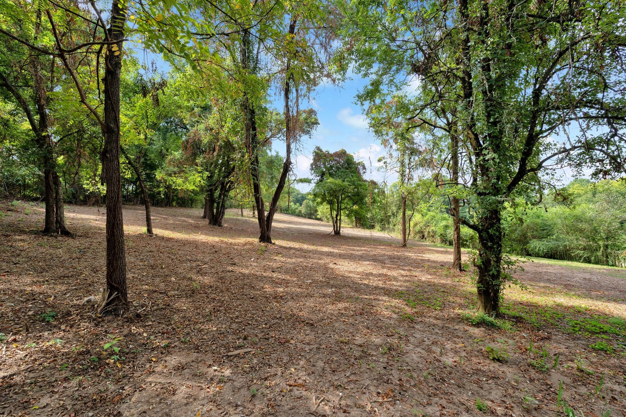 3406 Old Franklin Road Antioch, TN 37013 - Photo 31 of 50 a view of road and trees