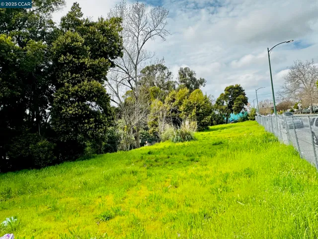 a view of yard with swimming pool