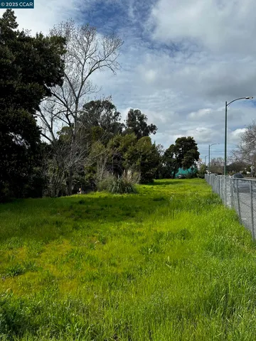 a view of a field of grass and trees
