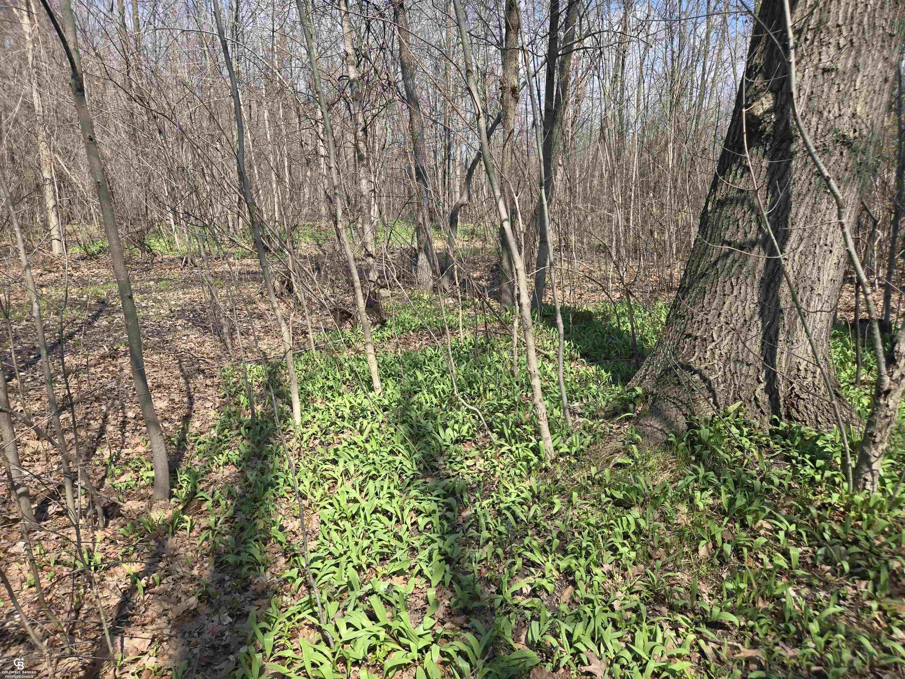 0 Range Vl Road Smiths Creek, MI 48074 - Photo 4 of 11