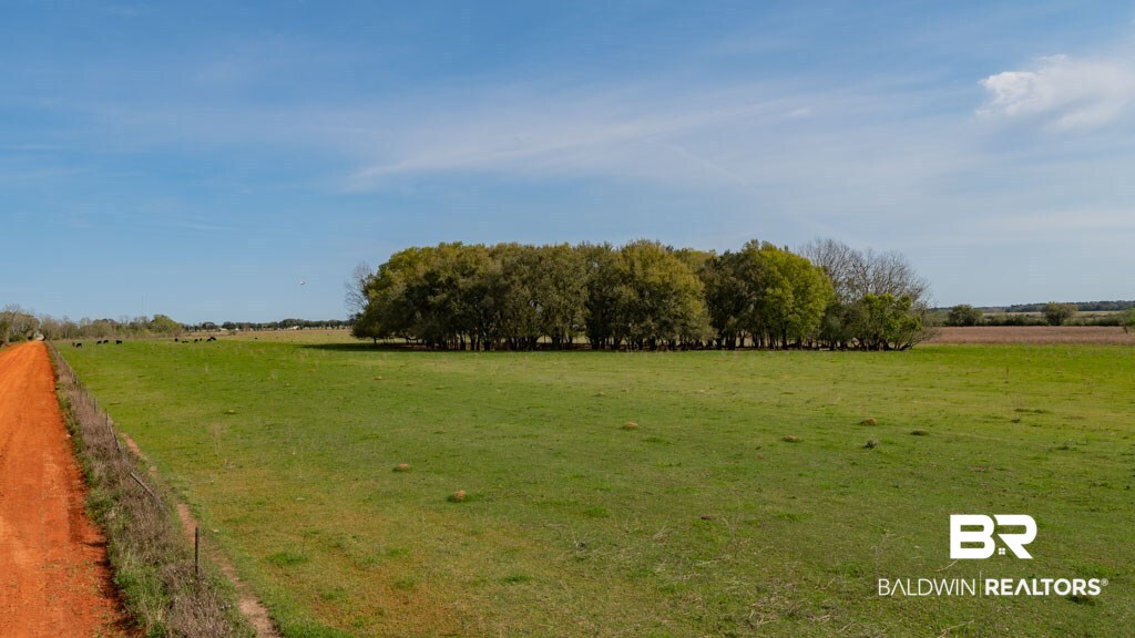 Harms Road Summerdale, AL 36580 - Photo 4 of 9