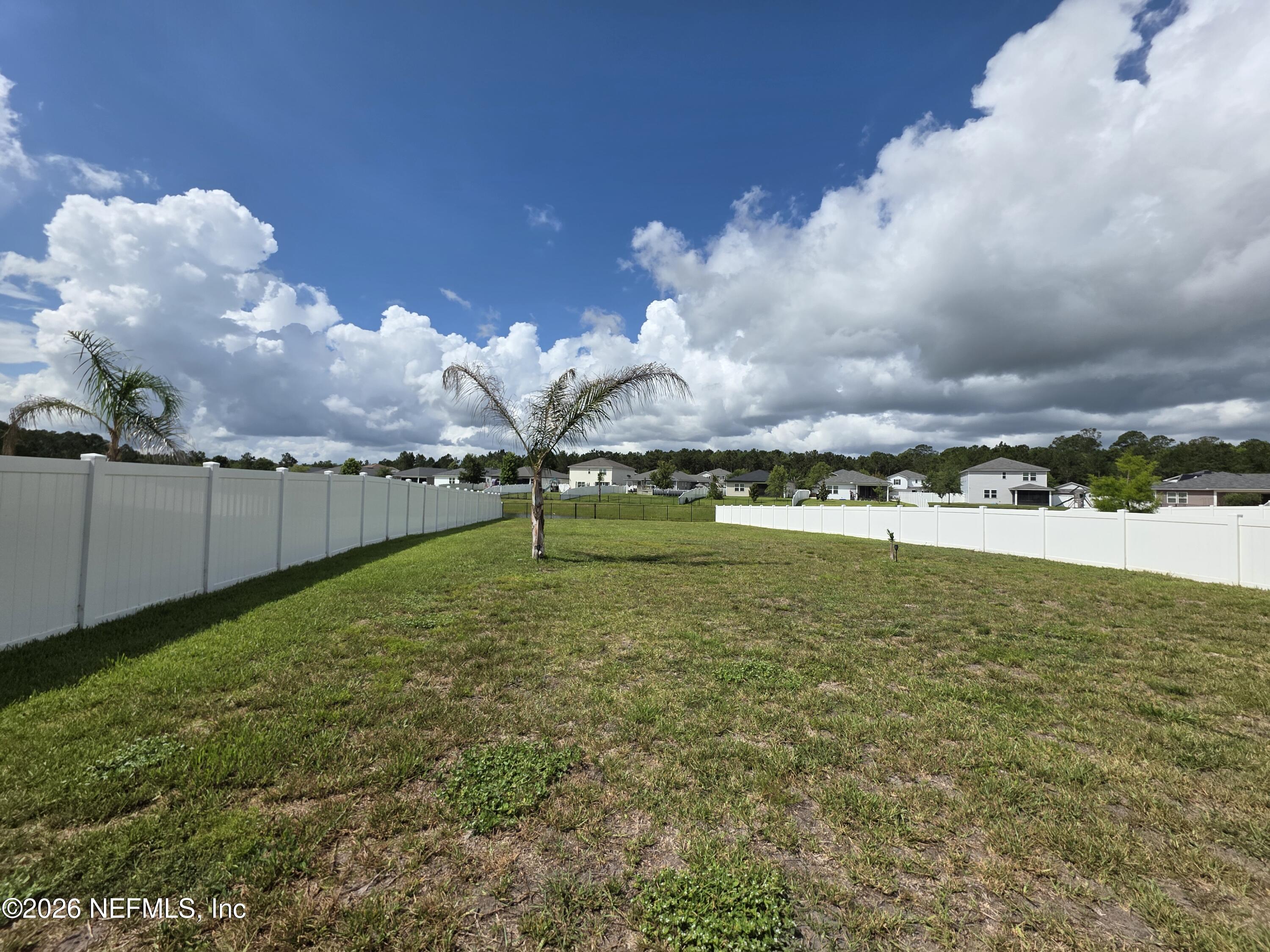 4537 Pine Ridge Parkway Middleburg, FL 32068 - Photo 30 of 30 Backyard