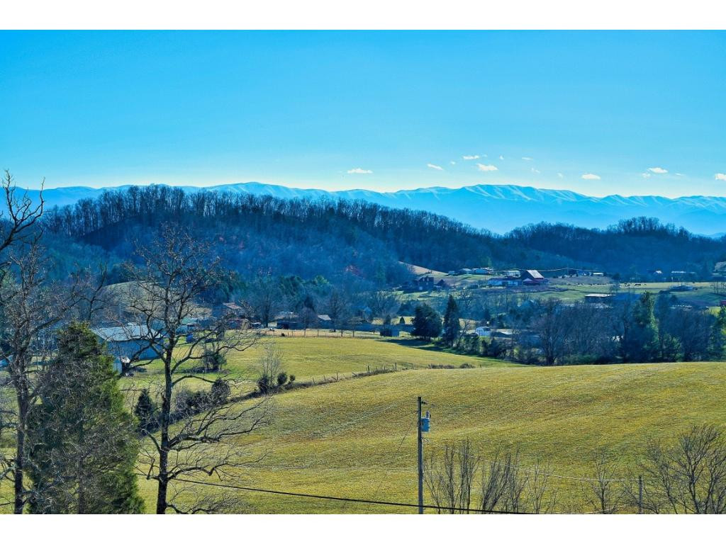 351 West Side Road Jonesborough, TN 37659 - Photo 30 of 31 More Views