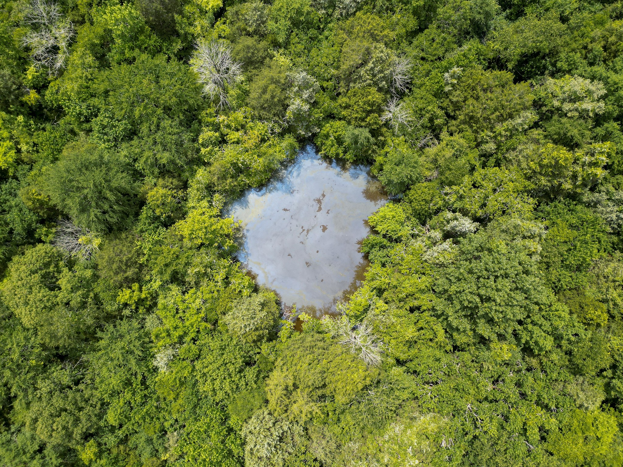 0 Choctaw Road College Grove, TN 37046 - Photo 15 of 41