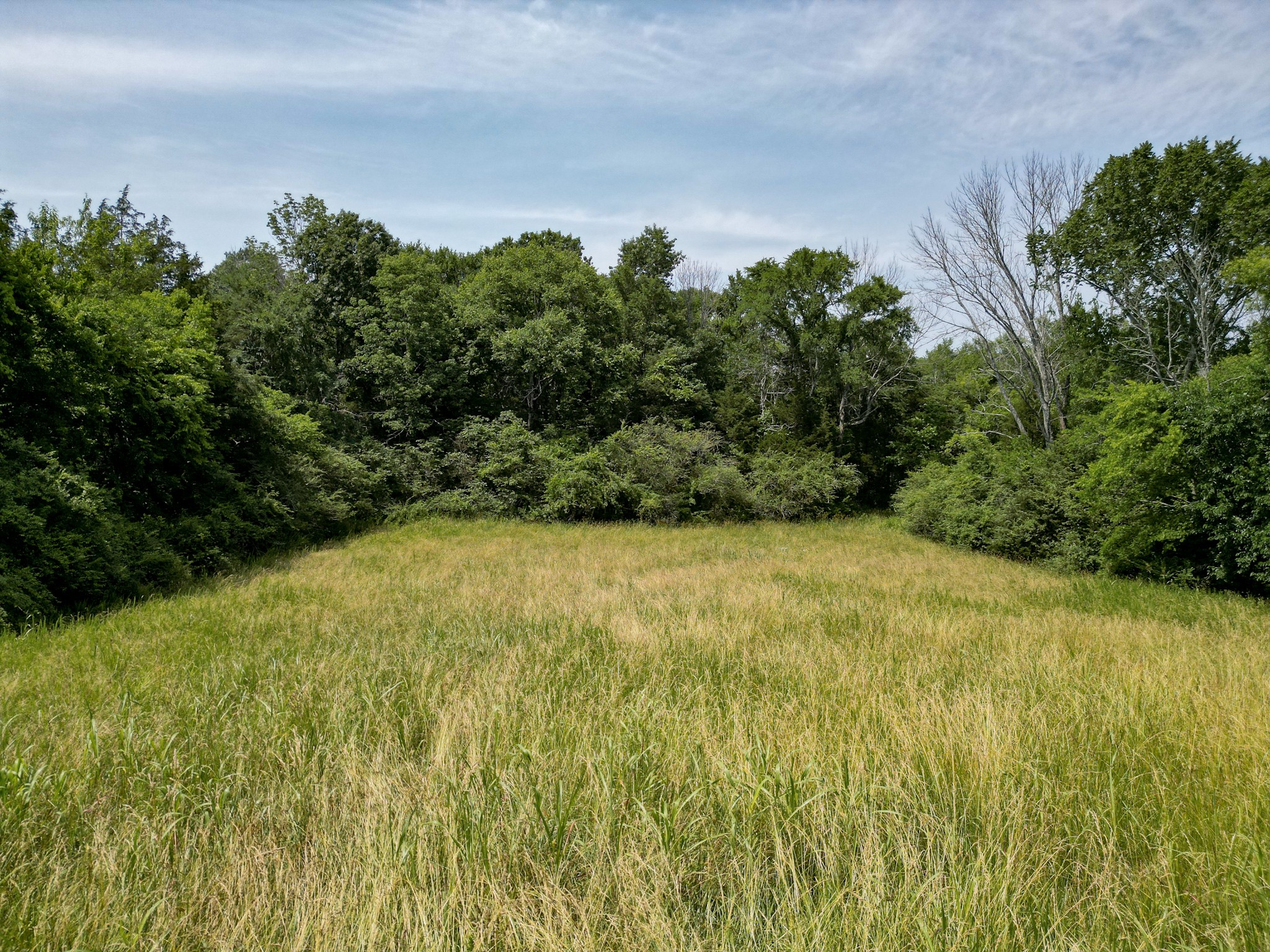 0 Choctaw Road College Grove, TN 37046 - Photo 36 of 41